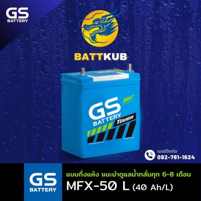 GS / MFX-50 L