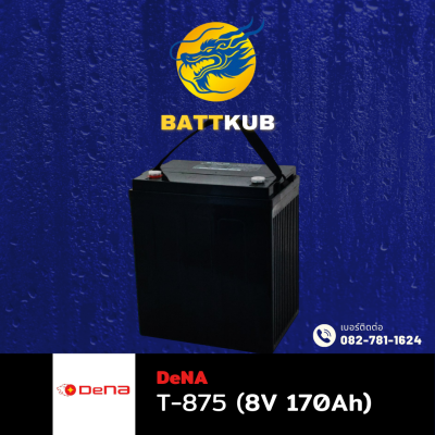 DeNA T-875