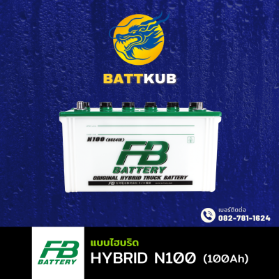 FB / HYBRID N100