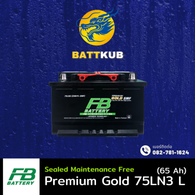 FB / Premium Gold 75LN3 L