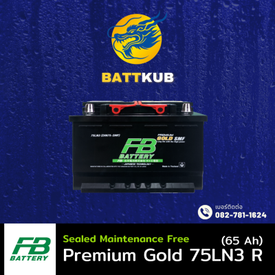 FB / Premium Gold 75LN3 R