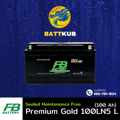 FB / Premium Gold 100LN5 L