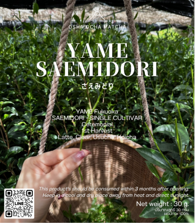 YAME SAEMIDORI
