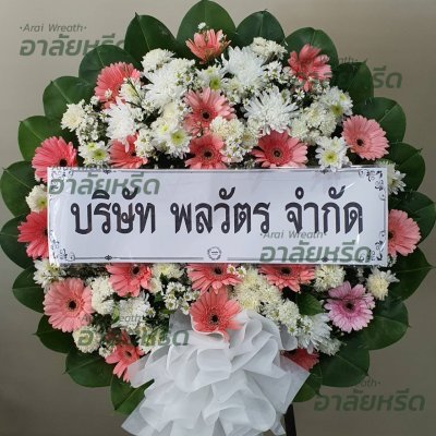 ประวัติการจัดส่ง ประจำเดือนมกราคม 2566