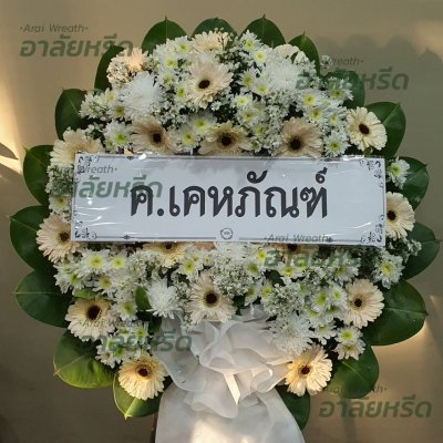 ประวัติการจัดส่ง ประจำเดือนมกราคม 2566