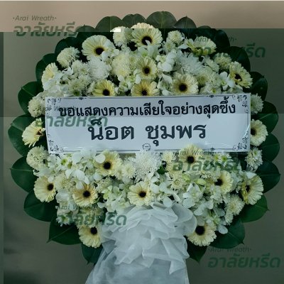 ประวัติการจัดส่ง ประจำเดือนมกราคม 2566