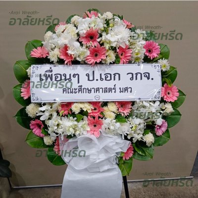 ประวัติการจัดส่ง ประจำเดือนมกราคม 2566