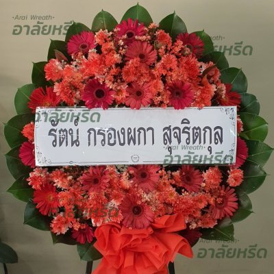 ประวัติการจัดส่ง ประจำเดือนมกราคม 2566