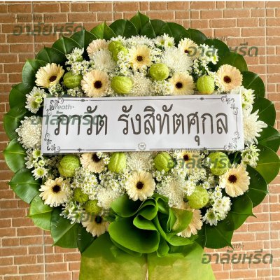 ประวัติการจัดส่ง ประจำเดือนมกราคม 2566