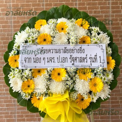 ประวัติการจัดส่ง ประจำเดือนมกราคม 2566