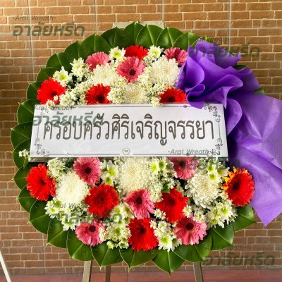 ประวัติการจัดส่ง ประจำเดือนมกราคม 2566