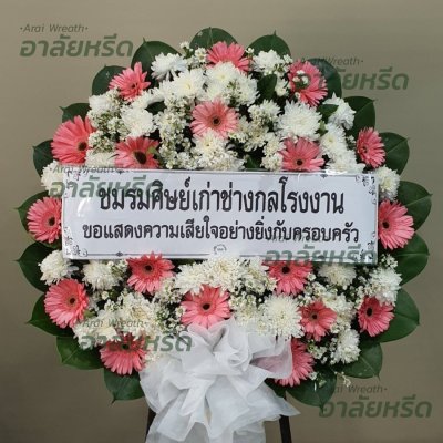 ประวัติการจัดส่ง ประจำเดือนมกราคม 2566