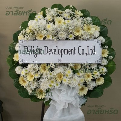 ประวัติการจัดส่ง ประจำเดือนมกราคม 2566