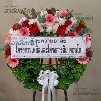 ประวัติการจัดส่ง ประจำเดือนมกราคม 2566