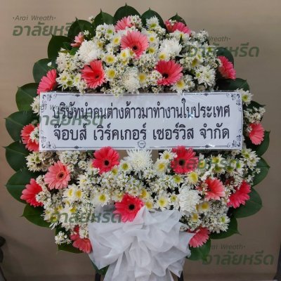 ประวัติการจัดส่ง ประจำเดือนมกราคม 2566