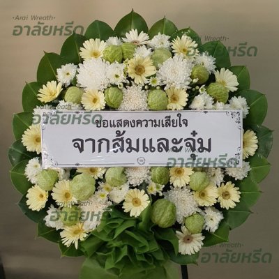 ประวัติการจัดส่ง ประจำเดือนกุมภาพันธ์ 2566