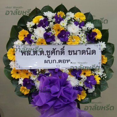 ประวัติการจัดส่ง ประจำเดือนกุมภาพันธ์ 2566