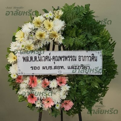 ประวัติการจัดส่ง ประจำเดือนกุมภาพันธ์ 2566