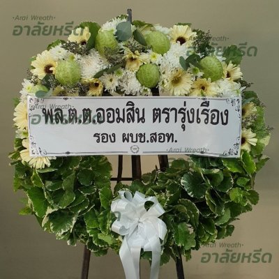 ประวัติการจัดส่ง ประจำเดือนกุมภาพันธ์ 2566