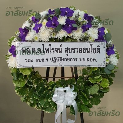 ประวัติการจัดส่ง ประจำเดือนกุมภาพันธ์ 2566