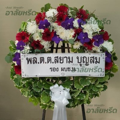 ประวัติการจัดส่ง ประจำเดือนกุมภาพันธ์ 2566