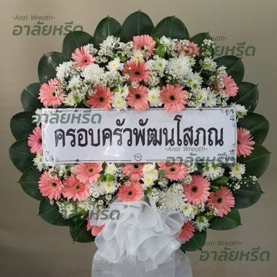 ประวัติการจัดส่ง ประจำเดือนกุมภาพันธ์ 2566