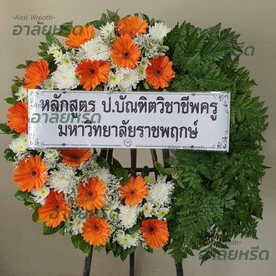 ประวัติการจัดส่ง ประจำเดือนกุมภาพันธ์ 2566