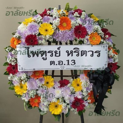 ประวัติการจัดส่ง ประจำเดือนกุมภาพันธ์ 2566