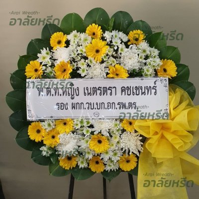 ประวัติการจัดส่ง ประจำเดือนมีนาคม 2566