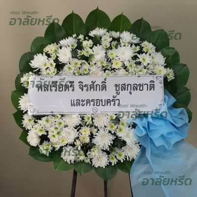 ประวัติการจัดส่ง ประจำเดือนมีนาคม 2566