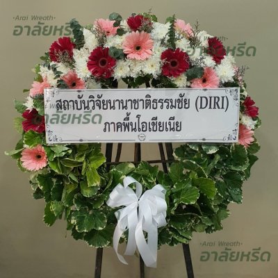 ประวัติการจัดส่ง ประจำเดือนมีนาคม 2566