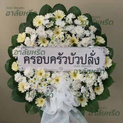 ประวัติการจัดส่ง ประจำเดือนมีนาคม 2566