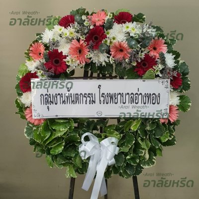 ประวัติการจัดส่ง ประจำเดือนมีนาคม 2566