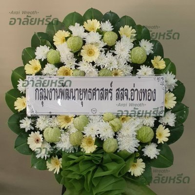 ประวัติการจัดส่ง ประจำเดือนมีนาคม 2566