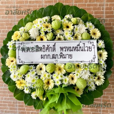 ประวัติการจัดส่ง ประจำเดือนมีนาคม 2566