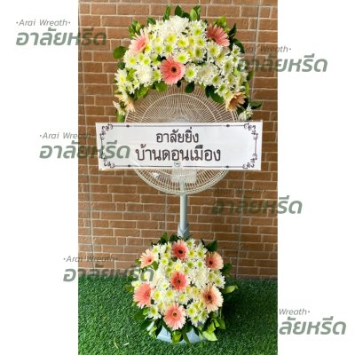 ประวัติการจัดส่ง ประจำเดือนมีนาคม 2566