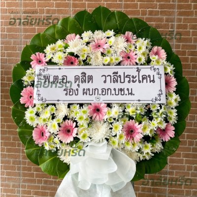 ประวัติการจัดส่ง ประจำเดือนมีนาคม 2566