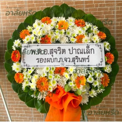 ประวัติการจัดส่ง ประจำเดือนมีนาคม 2566