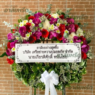 ประวัติการจัดส่ง ประจำเดือนมีนาคม 2566