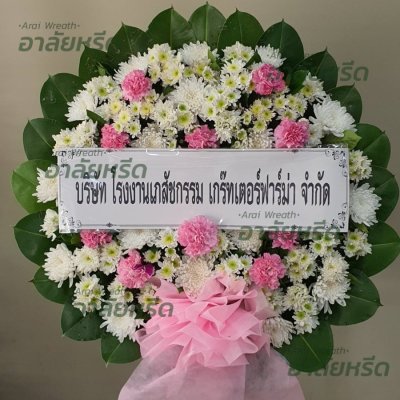 ประวัติการจัดส่ง ประจำเดือนมีนาคม 2566