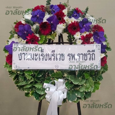 ประวัติการจัดส่ง ประจำเดือนมีนาคม 2566