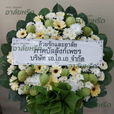 ประวัติการจัดส่ง ประจำเดือนมีนาคม 2566