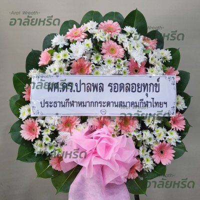 ประวัติการจัดส่ง ประจำเดือนมีนาคม 2566