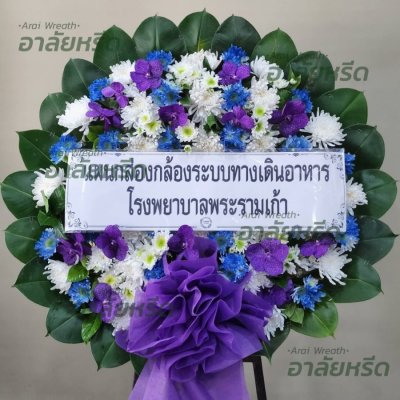 ประวัติการจัดส่ง ประจำเดือนมีนาคม 2566