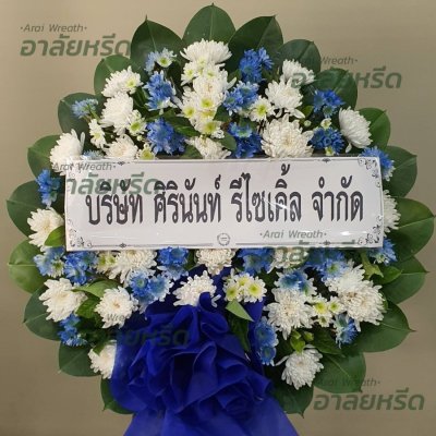 ประวัติการจัดส่ง ประจำเดือนมีนาคม 2566