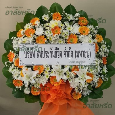 ประวัติการจัดส่ง ประจำเดือนมีนาคม 2566