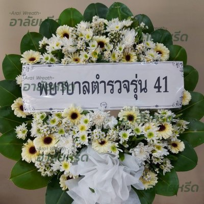 ประวัติการจัดส่ง ประจำเดือนมีนาคม 2566