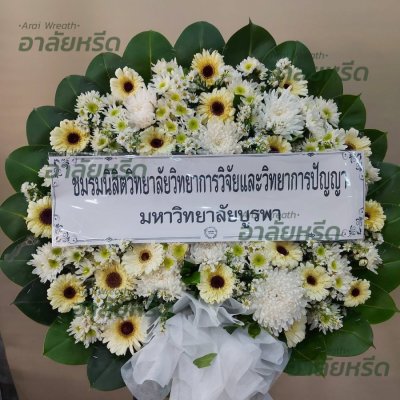 ประวัติการจัดส่ง ประจำเดือนมีนาคม 2566