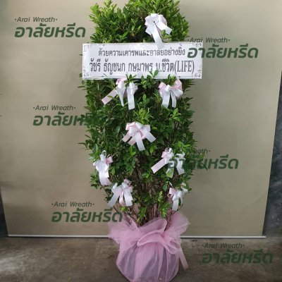 ประวัติการจัดส่งพวงหรีด เดือนเมษายน 2566