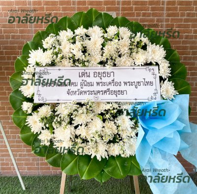 ประวัติการจัดส่ง ประจำเดือนพฤษภาคม 2566